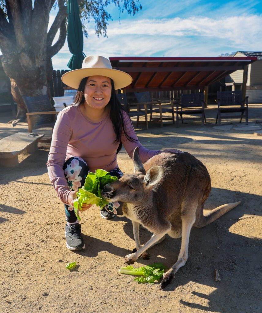 Zoo to You: Wildlife Encounter, Paso Robles, California