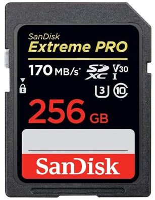 SanDisk 256GB Extreme PRO